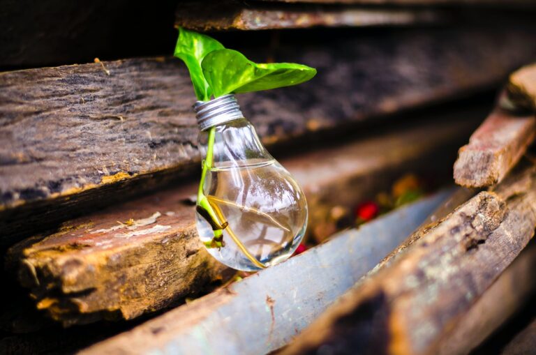 close up of beer bottles on wood